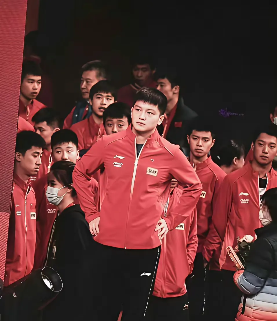 韩国队险胜法国队，樊振东惊艳四座