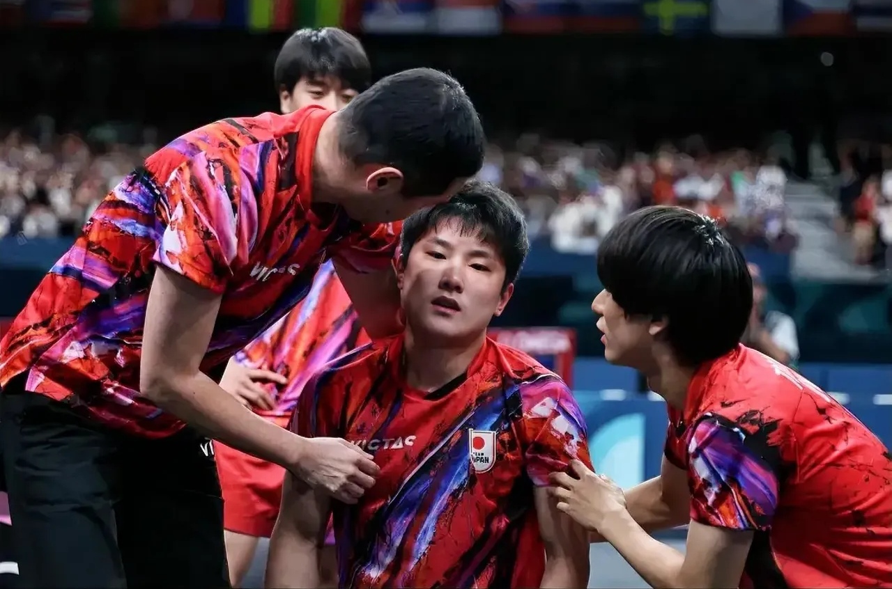 波兰队完胜奥地利队,张本智和高光表现 波兰队完胜奥地利队,张本智和高光表现