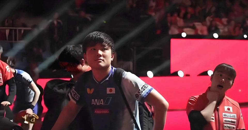 日本队险胜英格兰队，张本智和状态火热