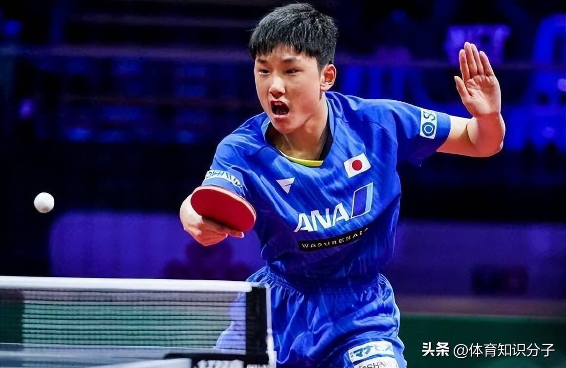 法国队碾压韩国队,张本智和高光表现 法国队碾压韩国队,张本智和高光表现